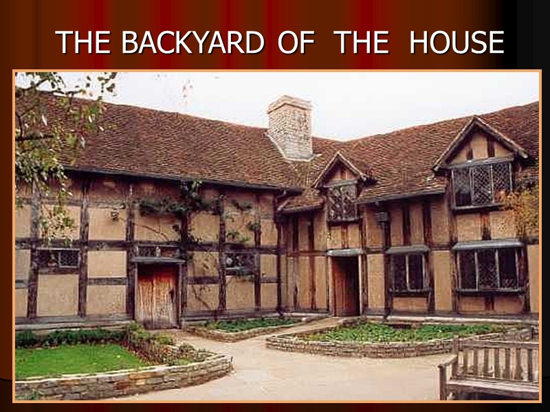 THE BACKYARD OF  THE  HOUSE